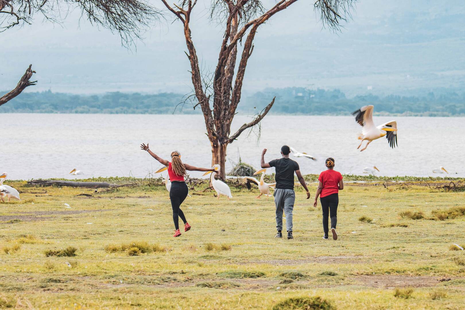 The Great Rift Valley