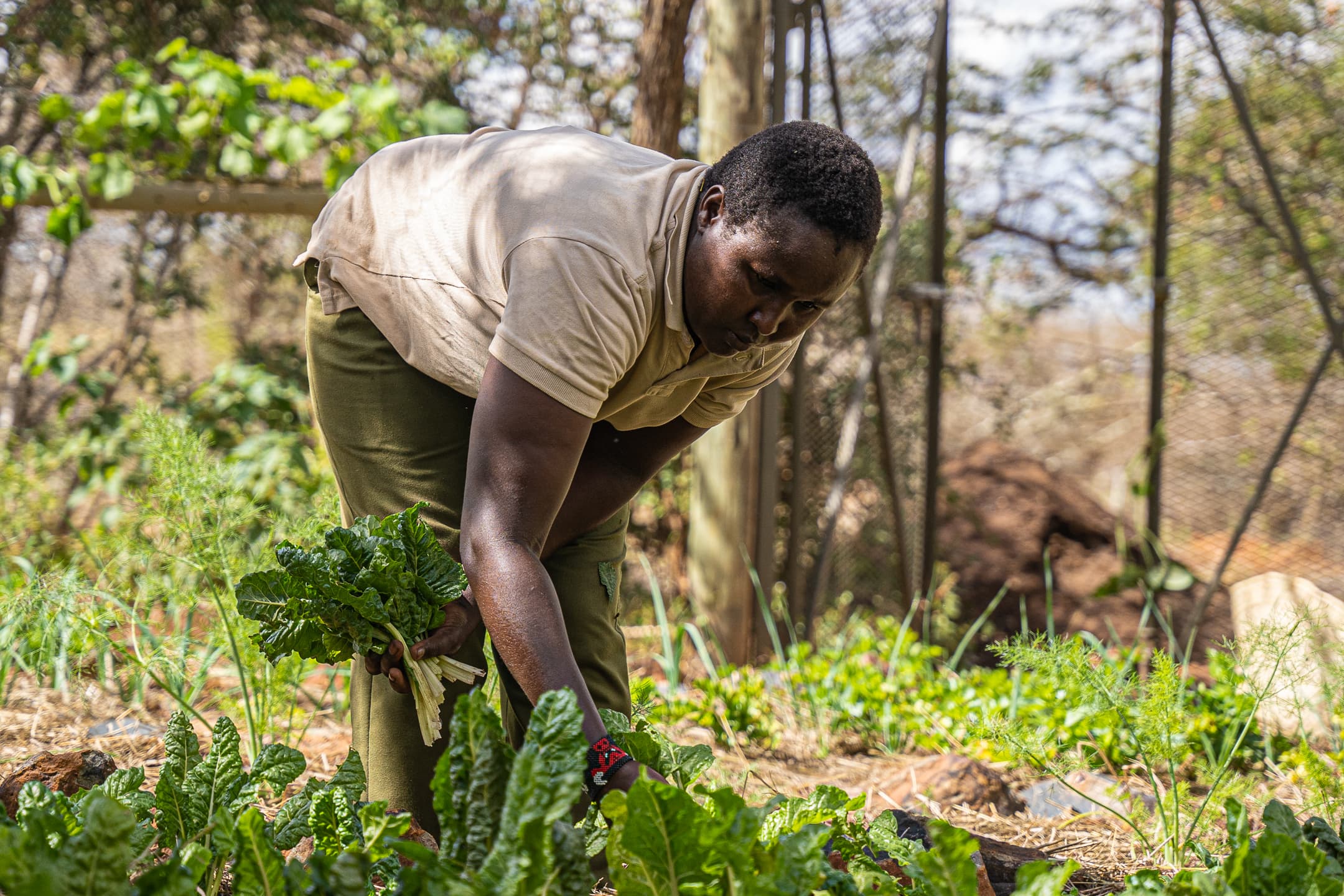 14. Sustainable Kenya